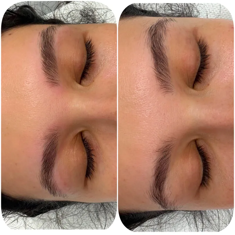 Stilizare Sprancene Before After Salon Emirav